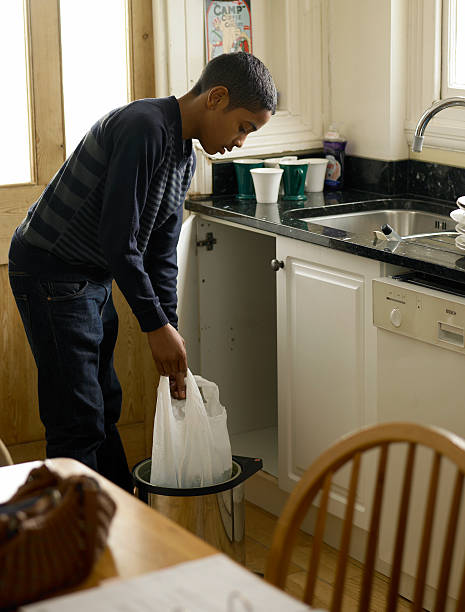 Attic Cleanout Services in Lake City, FL
